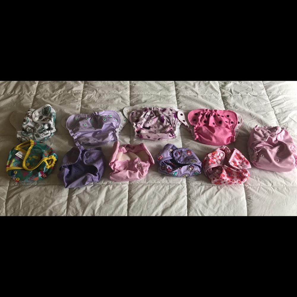 Cloth Diapers: Blueberry & Apple Cheeks